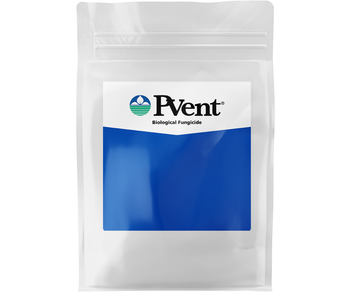 Picture for BioSafe PVent, 1 lb