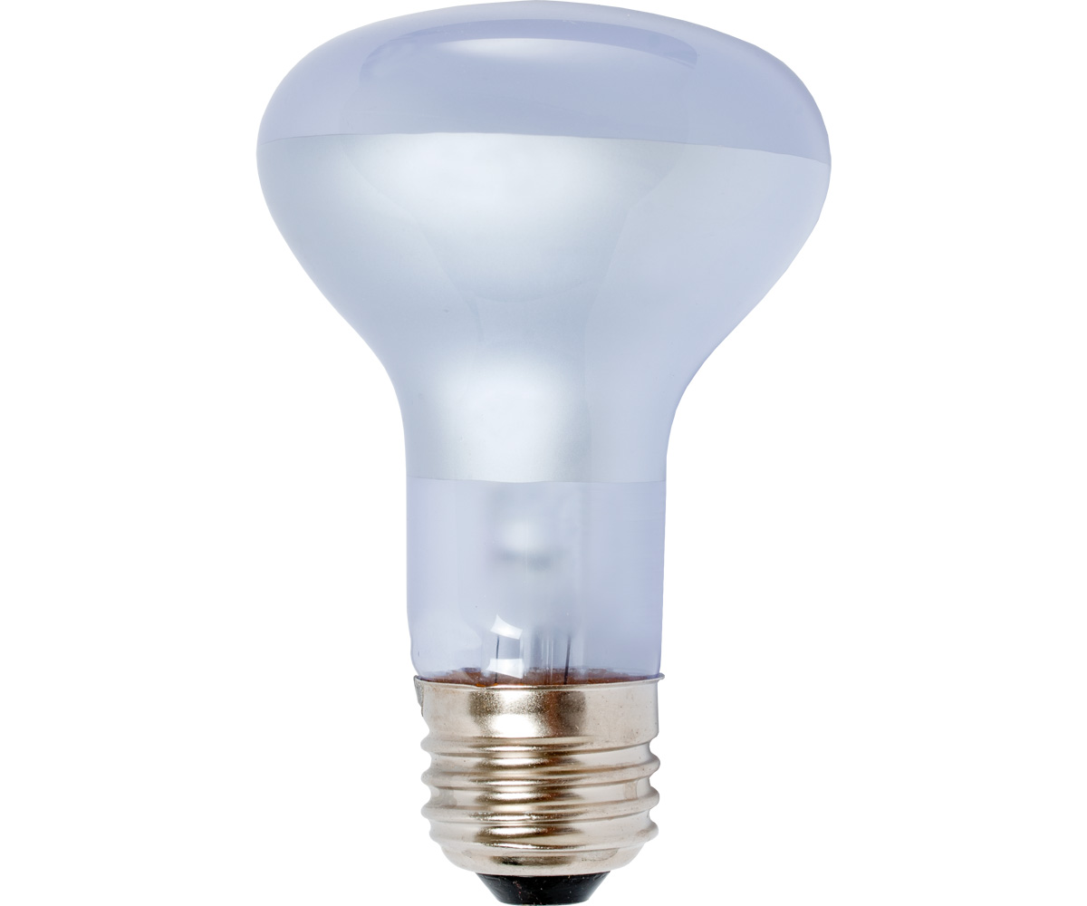 Picture for Agrosun Dayspot Incandescent Bulb, 60W