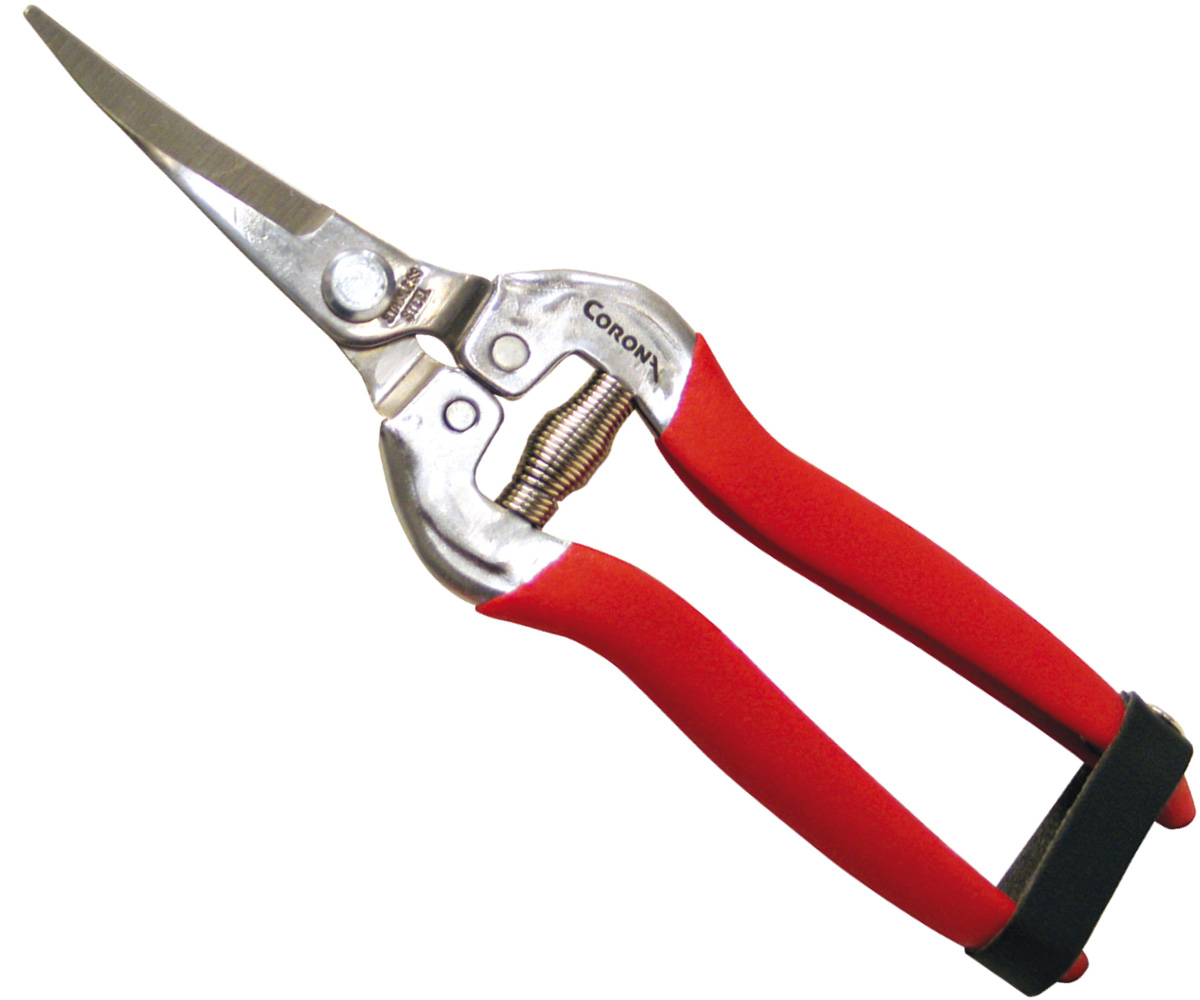 Picture for Corona Long Curved Stainless Steel Snips, 1 3/4"