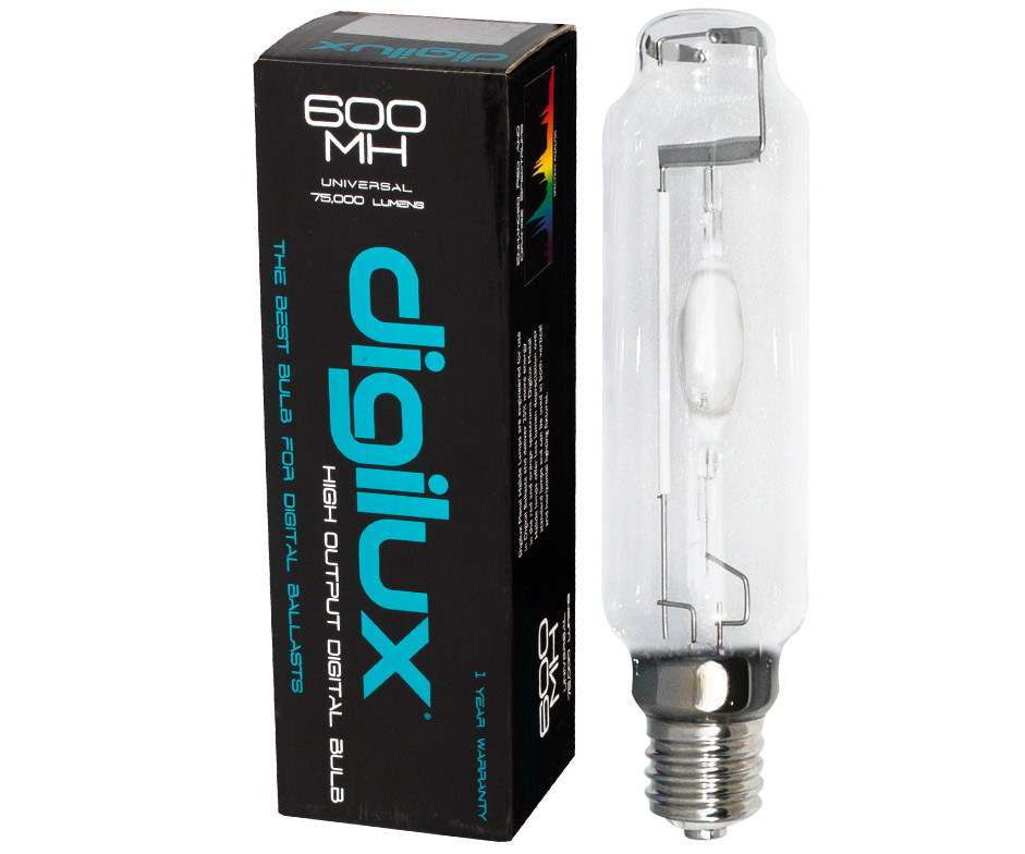 best 600w mh bulb