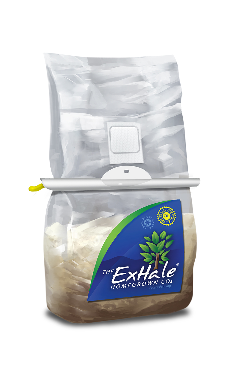Picture for ExHale, The Original CO2 Bag