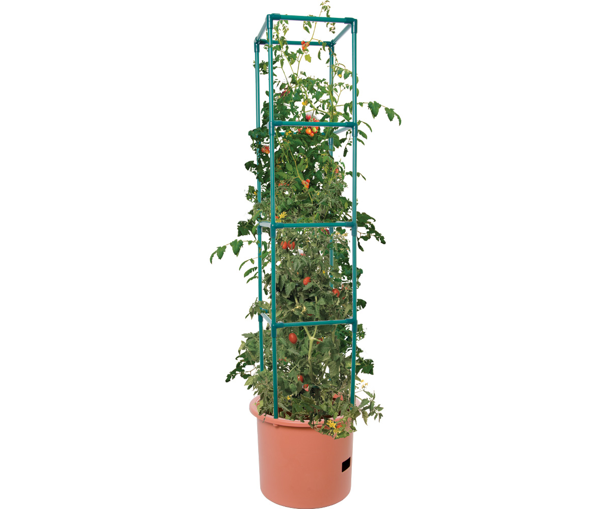 Picture for Heavy Duty Tomato Barrel w/Tower