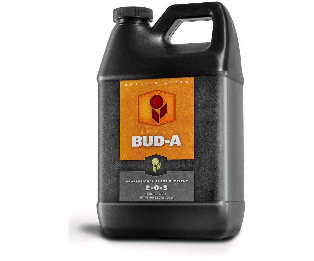 Picture for HEAVY 16 Bud A, 32 oz