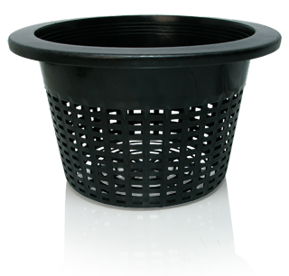 Picture for Wide Lip Bucket Basket, 10", bag of 50