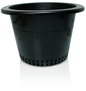 Picture for Round Mesh Bottom Pot w/heavy lip, 10", bag of 50