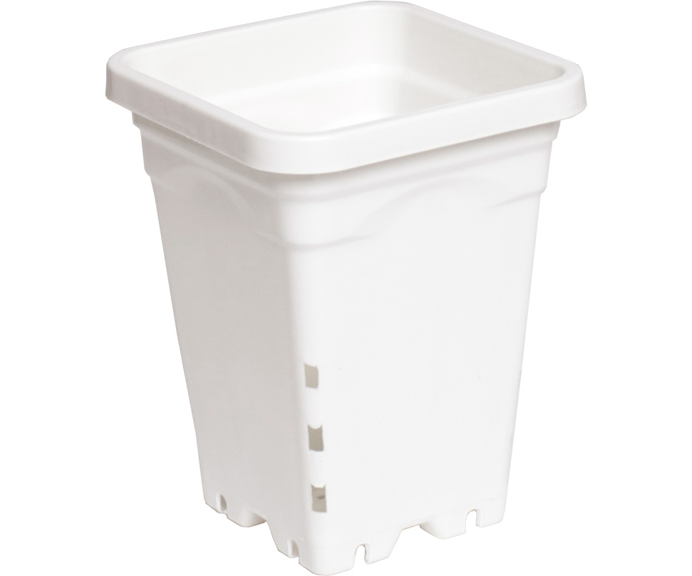 Picture for Active Aqua 5" x 5" Square White Pot, 7" Tall, case of 100