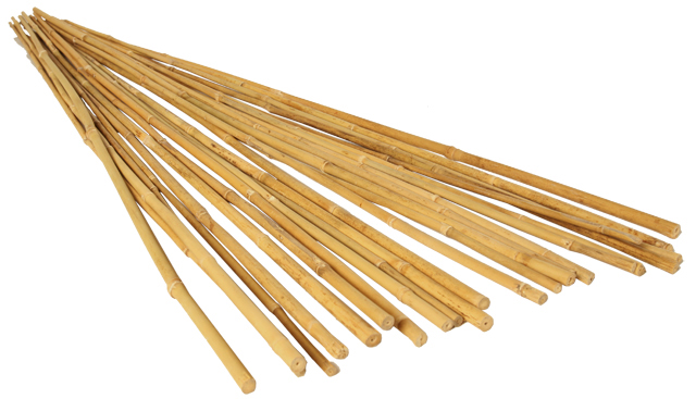 Picture 1 for GROW!T 2' Bamboo Stakes, Natural, pack of 25