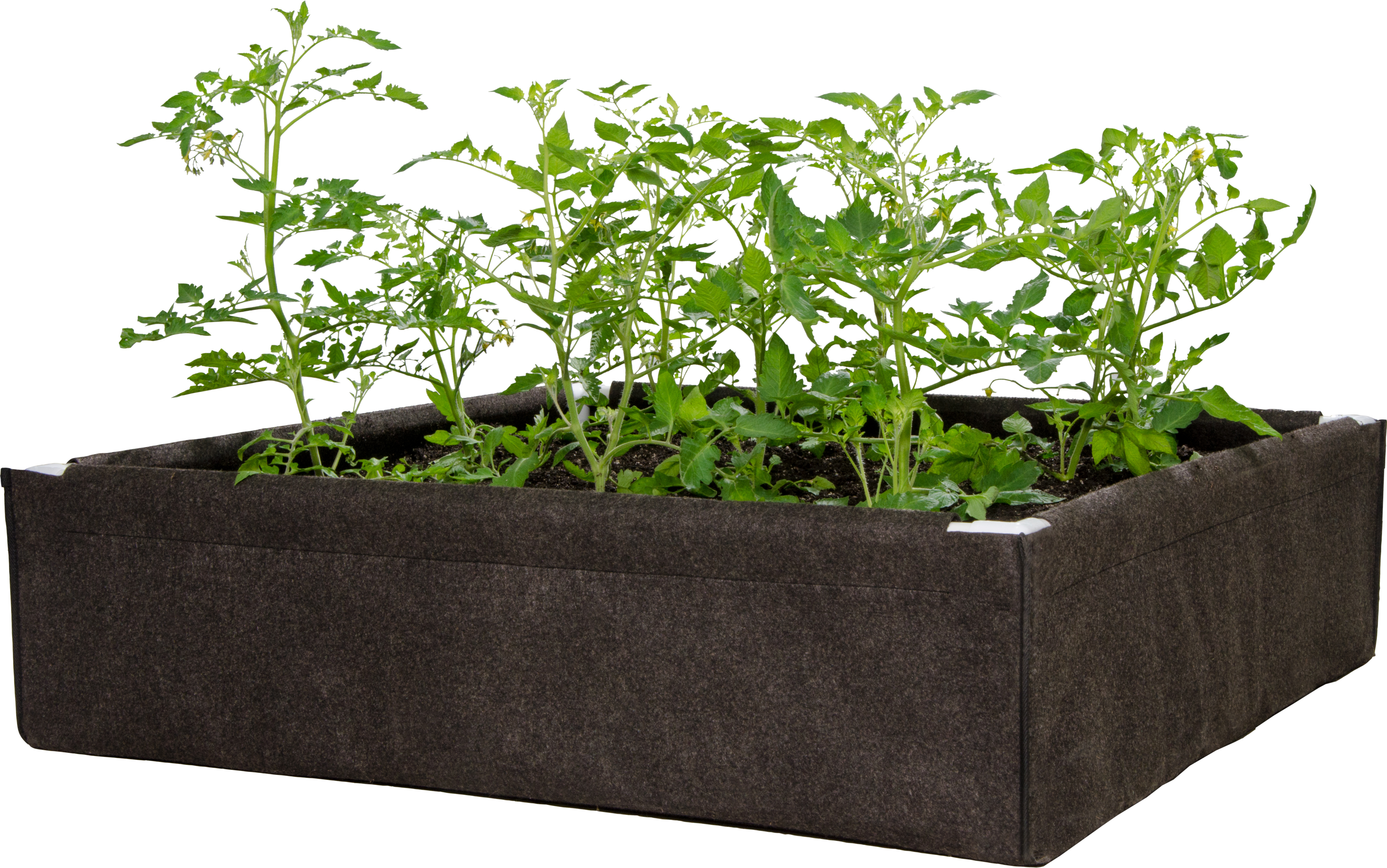 Picture for Dirt Pot Box, 2' x 4' Raised Bed