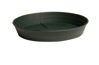 Picture for Green Premium Saucer, 10", pack of 25