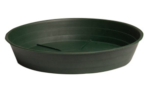 Picture for Green Premium Saucer 14", pack of 10