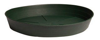 Picture for Green Premium Saucer, 6", pack of 25