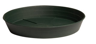 Picture for Green Premium Saucer, 8", pack of 25