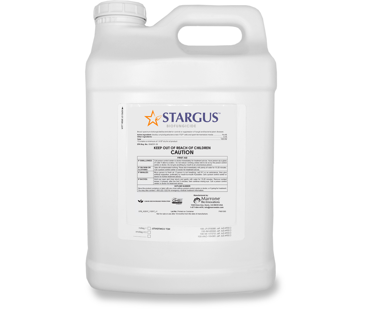 Picture for Marrone Bio Stargus Biofungicide, 2.5 gal