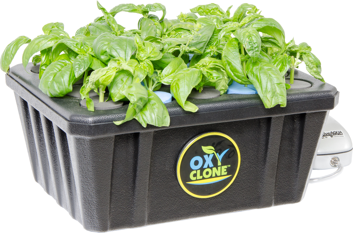 Picture for oxyCLONE PRO Series 20 Site Cloning System