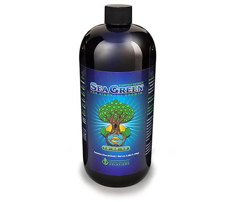 Picture for Primordial Solutions Sea Green, 32 oz