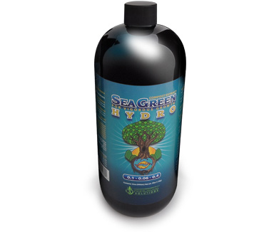 Picture for Primordial Solutions Sea Green Hydro, 32 oz