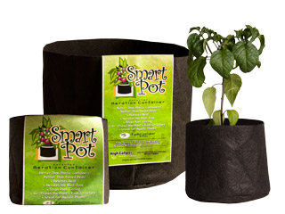 Picture for Smart Pot, 3 gal, 10" x 7.5"