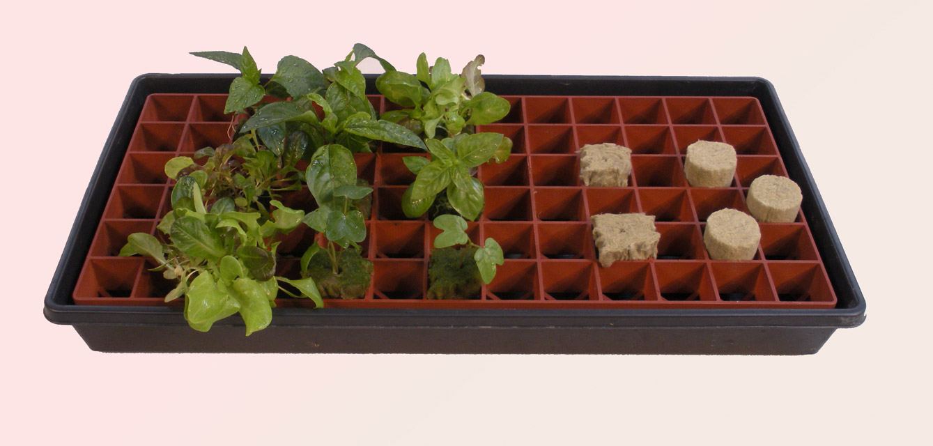Picture 2 for Grodan Gro-Smart Trays-78 Cells (1 CAR = 5 Trays)