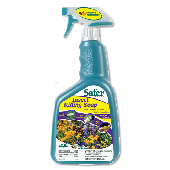 Picture for Safer Insect Killing Soap, 32 oz