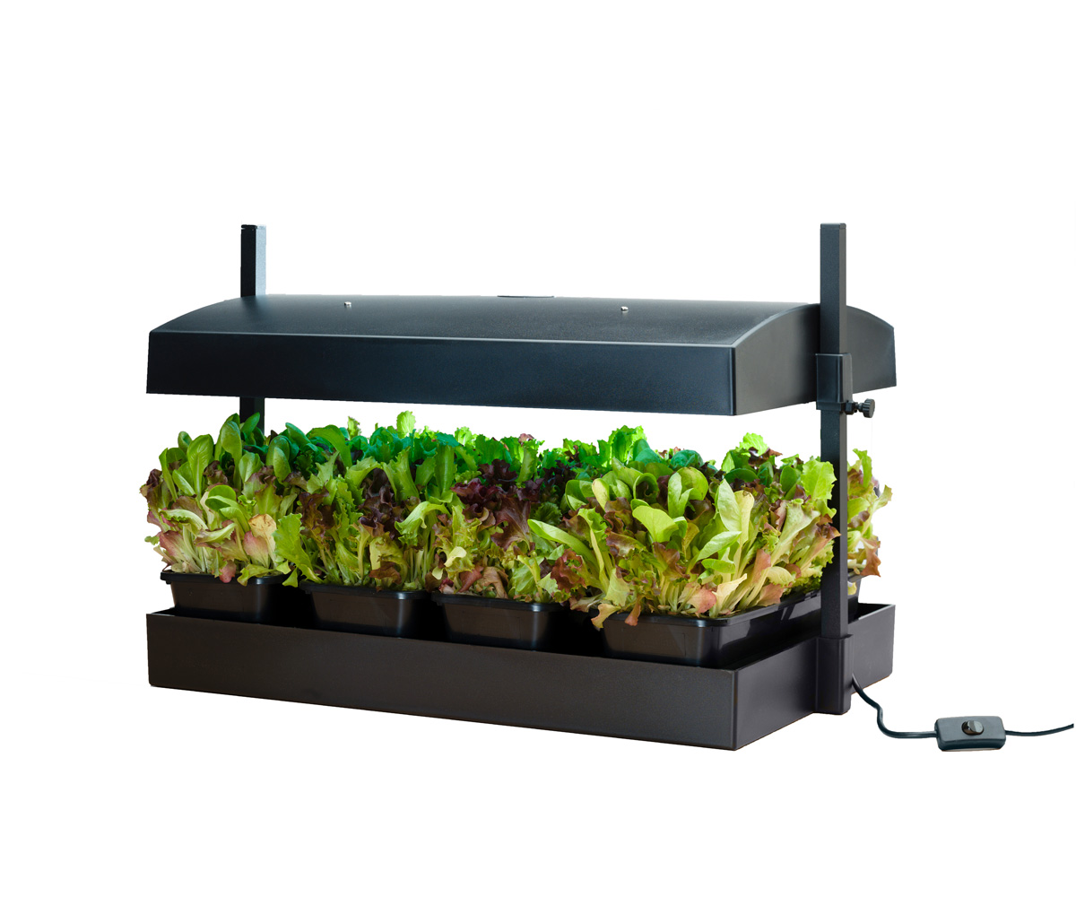 SunBlaster T5 Grow Light Garden, Black - Hydrofarm Canada