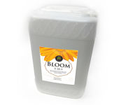 Image Thumbnail for Age Old Bloom, 6 gal