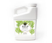 Picture of Age Old Kelp, 32 oz