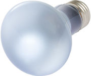 Image Thumbnail for Agrosun Dayspot Incandescent Bulb, 60W