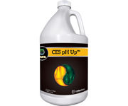Picture of Cutting Edge Solutions pH Up, 1 gal, case of 4
