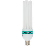 Agrobrite Compact Fluorescent Lamp, Warm, 125W, 2700K
