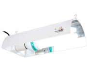 Picture of Fluorowing Compact Fluorescent System, 125W, 6400K