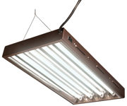 Image Thumbnail for Agrobrite Designer T5 96W 2' 4-Tube Fixture with Lamps