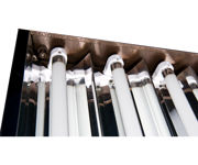 Image Thumbnail for Agrobrite Designer T5 108W 4' 2-Tube Fixture with Lamps