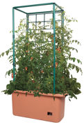 Image Thumbnail for Tomato Trellis Garden on Wheels