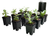 Image Thumbnail for Active Aqua Grow Flow 5 gal System w/Controller Unit & 3/4" Tubing