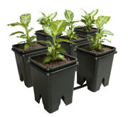 Picture of Grow Flow 5-Gal Expansion Kit 3/4" 6 pot, 5 Gal
