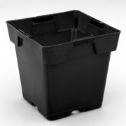 Picture of 5 1/2" Square Black Pot 5 1/2" Tall