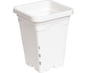 Image Thumbnail for Active Aqua 5" x 5" Square White Pot, 7" Tall, case of 100