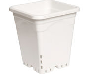 Picture of 9"x9" Square White Pot, 10" Tall CS (24pcs)