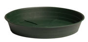Picture of Green Premium Saucer, 12", pack of 10