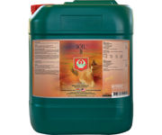 Picture of House & Garden Soil B, 5 L