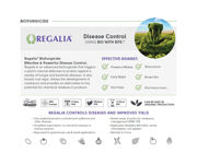 Image Thumbnail for Marrone Bio Regalia CG&reg; Biofungicide, 55 gal drum