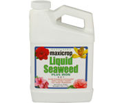 Image Thumbnail for Maxicrop Liquid Seaweed Plus Iron, 1 qt