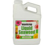 Picture of Maxicrop Liquid Seaweed, 1 qt