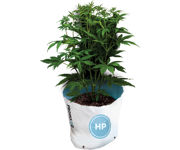 Image Thumbnail for PRO-MIX MYCORRHIZAE OPEN TOP GROW BAGS, 1 cf