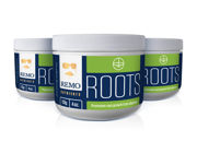 Remo Roots, 224 gr (8 oz)