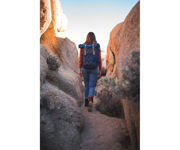 Image Thumbnail for Revelry Supply The Drifter Rolltop Backpack, Indigo