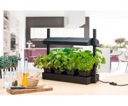 Image Thumbnail for Sunblaster Micro T5 Grow Light Garden, Black