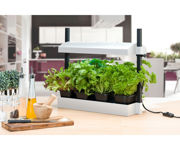 Image Thumbnail for Sunblaster Micro T5 Grow Light Garden, White