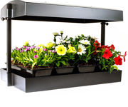 Image Thumbnail for SunBlaster T5 Grow Light Garden, Black