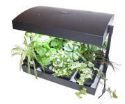 Image Thumbnail for SunBlaster T5 Grow Light Garden, Black